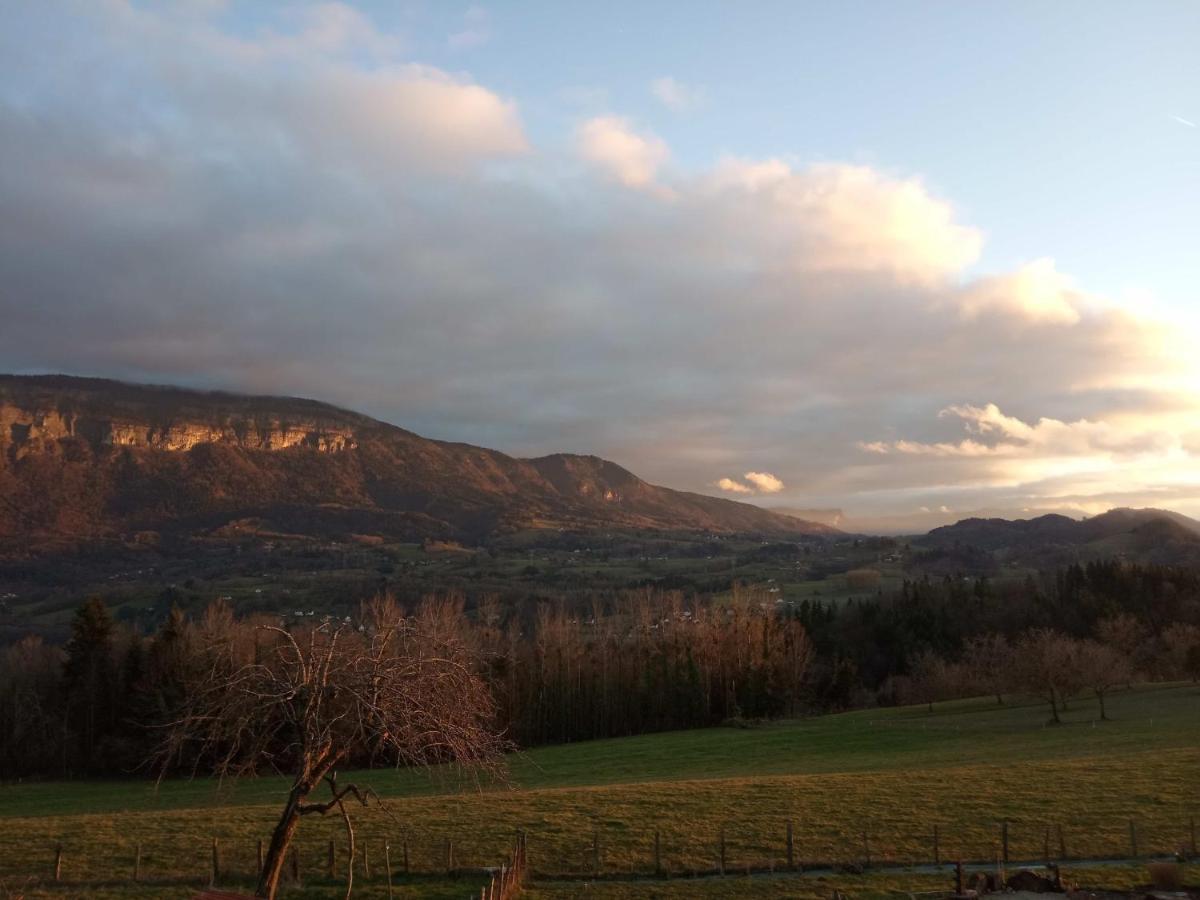 SOUKAVATi TOUSBHITA AKANISHTA Dullin Bagian luar foto